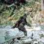 bigfoot.jpg
